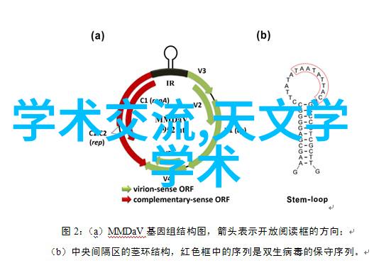 铁轨上的梦想火车上中国人的故事