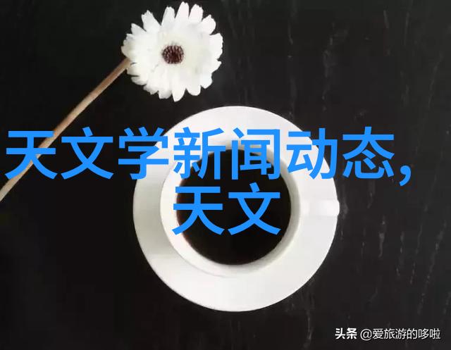 鸡蛋变身从蒸到炒的微波奇迹