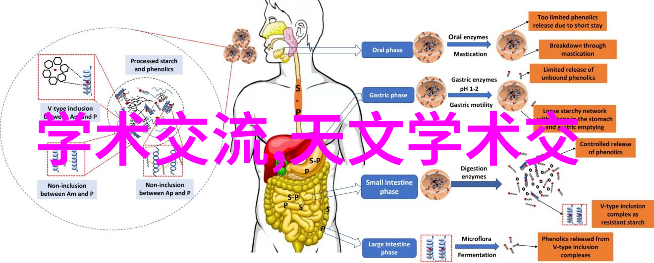 水电安装工程投标文件中的关键要素是什么