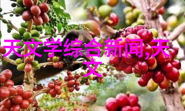 稳定器支撑科技进步的坚实基础