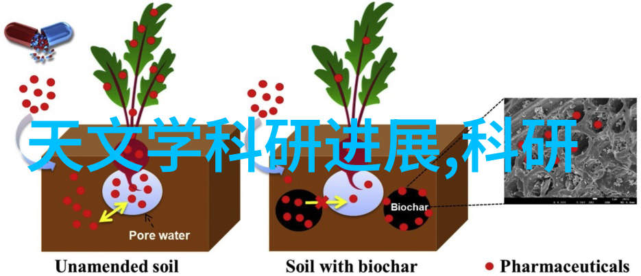 主题我是如何发现波纹填料的多种用途的