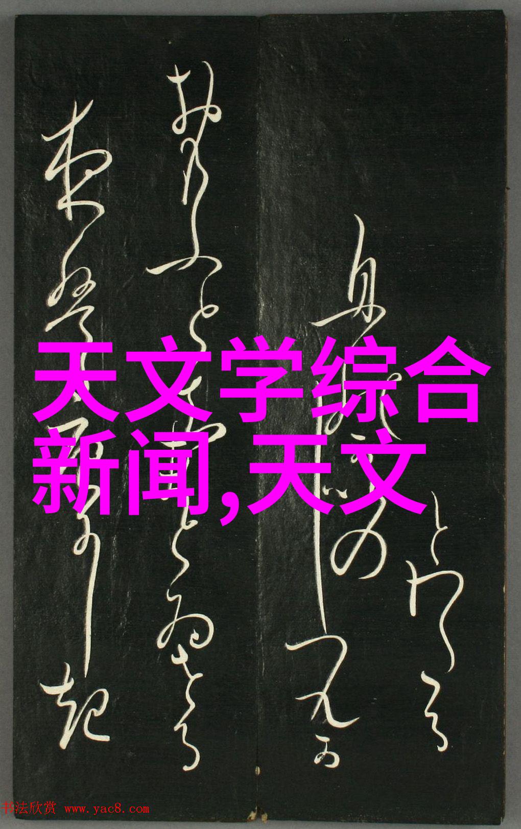 新品发布会我眼中的未来一场震撼的科技盛宴