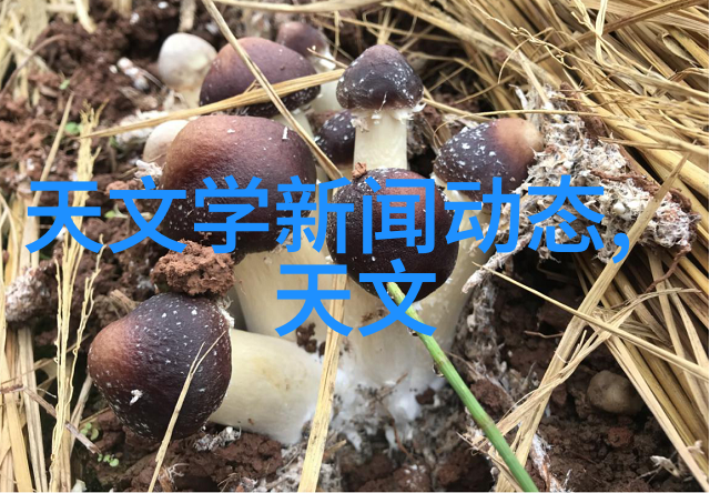 不锈钢输送机-高效无缝连接提升工业物料传输效率的智慧选择