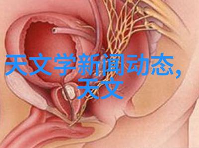 静止的时刻永恒的瞬间摄影中的美学追求