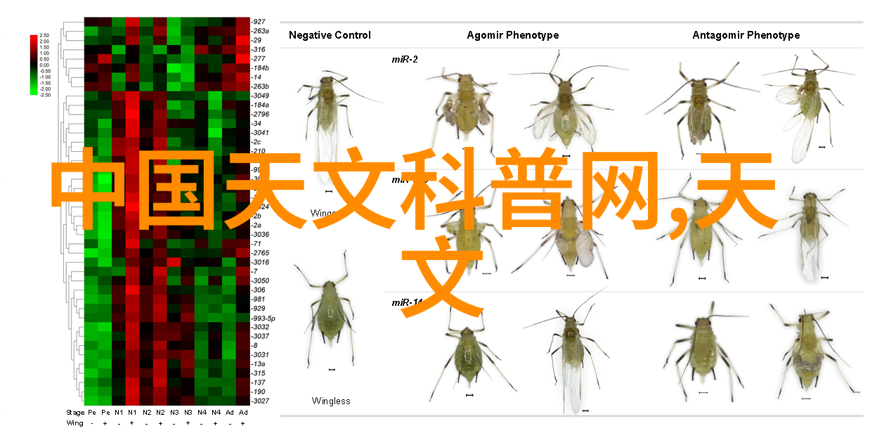 未来技术允许我们通过脑波操作机器人吗安全性如何保证