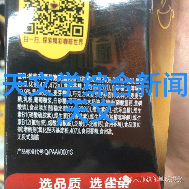 施工现场管理提升项目质量与进度控制策略