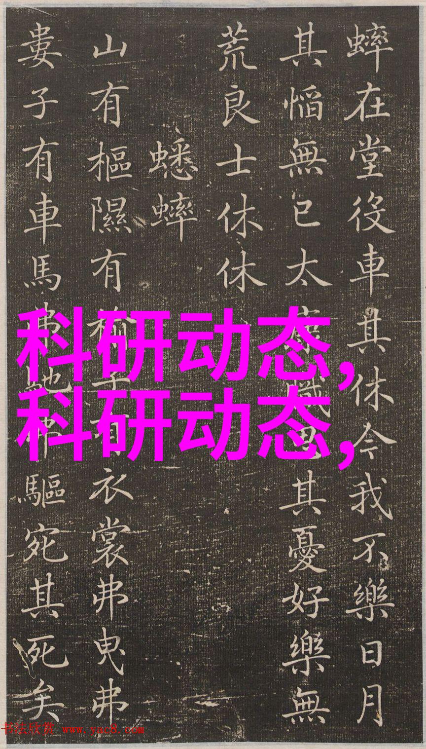 拍照技巧与方法全解密