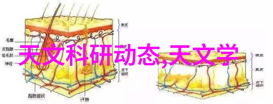 探索全画幅微单镜头的无限可能索尼相机系统的魅力