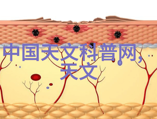 在户外场景下比如庭院或阳台为什么会选择用亚洲陶瓦而不是其他材料来铺设地面呢