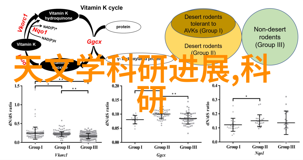 塑料排水管材的选择与应用实例