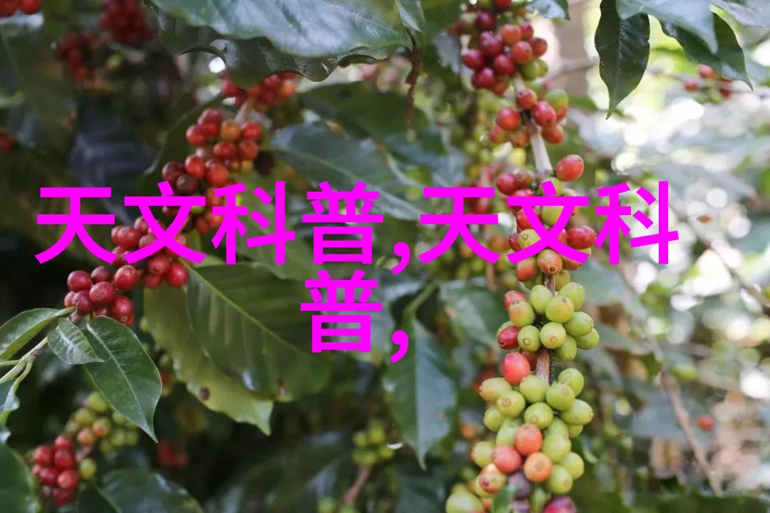 碧波荡漾翠绿巷尾