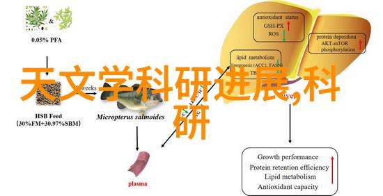 白马啸西风简介追逐梦想的故事