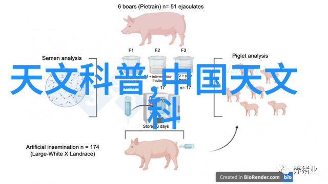 夸张的固定床反应器设计激发光催化反应之力