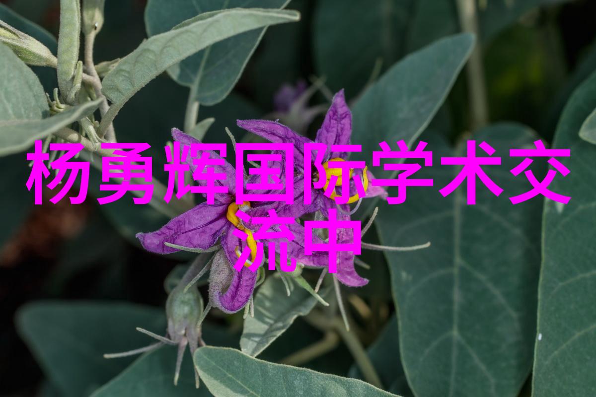 爱意绽放选择合适的花朵送给男朋友