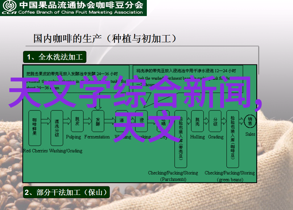 镜头的初恋一段小白摄影师的心路历程