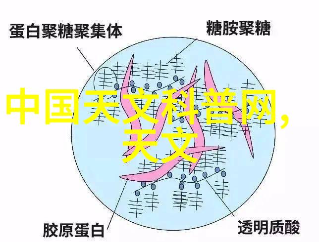 摄影作品万能点评 - 捕捉光影的艺术一篇摄影作品点评指南