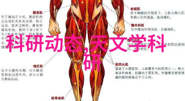 尼康D3200入门指南掌握基本技巧与创意拍摄技法