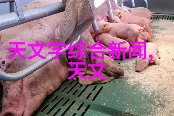 环保装饰-水性乳胶漆绿色选择的新潮流