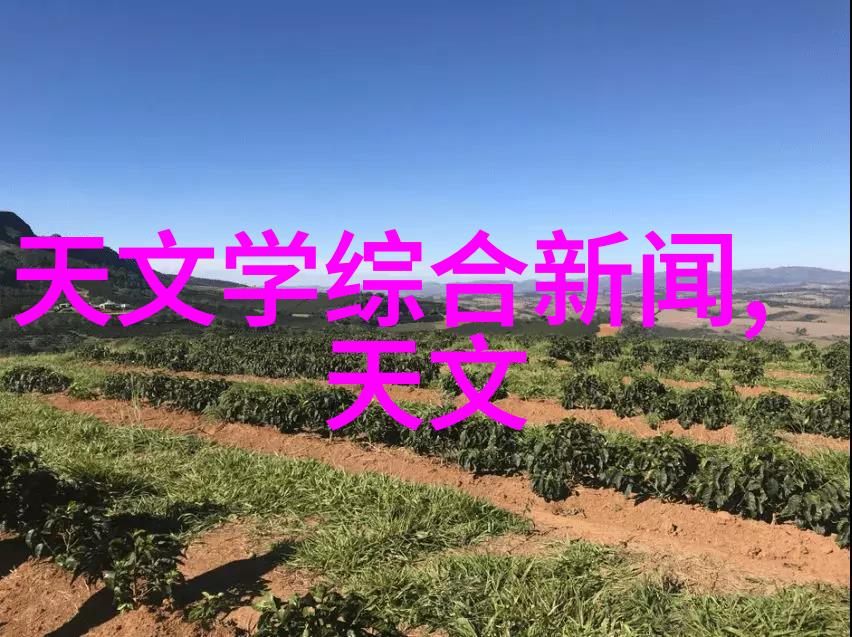 家居美学掌握必备的家庭装修常识