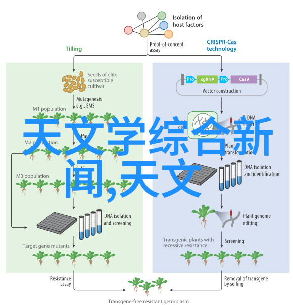 钢管消防涂塑生产厂家专业制造高品质消防钢管涂料