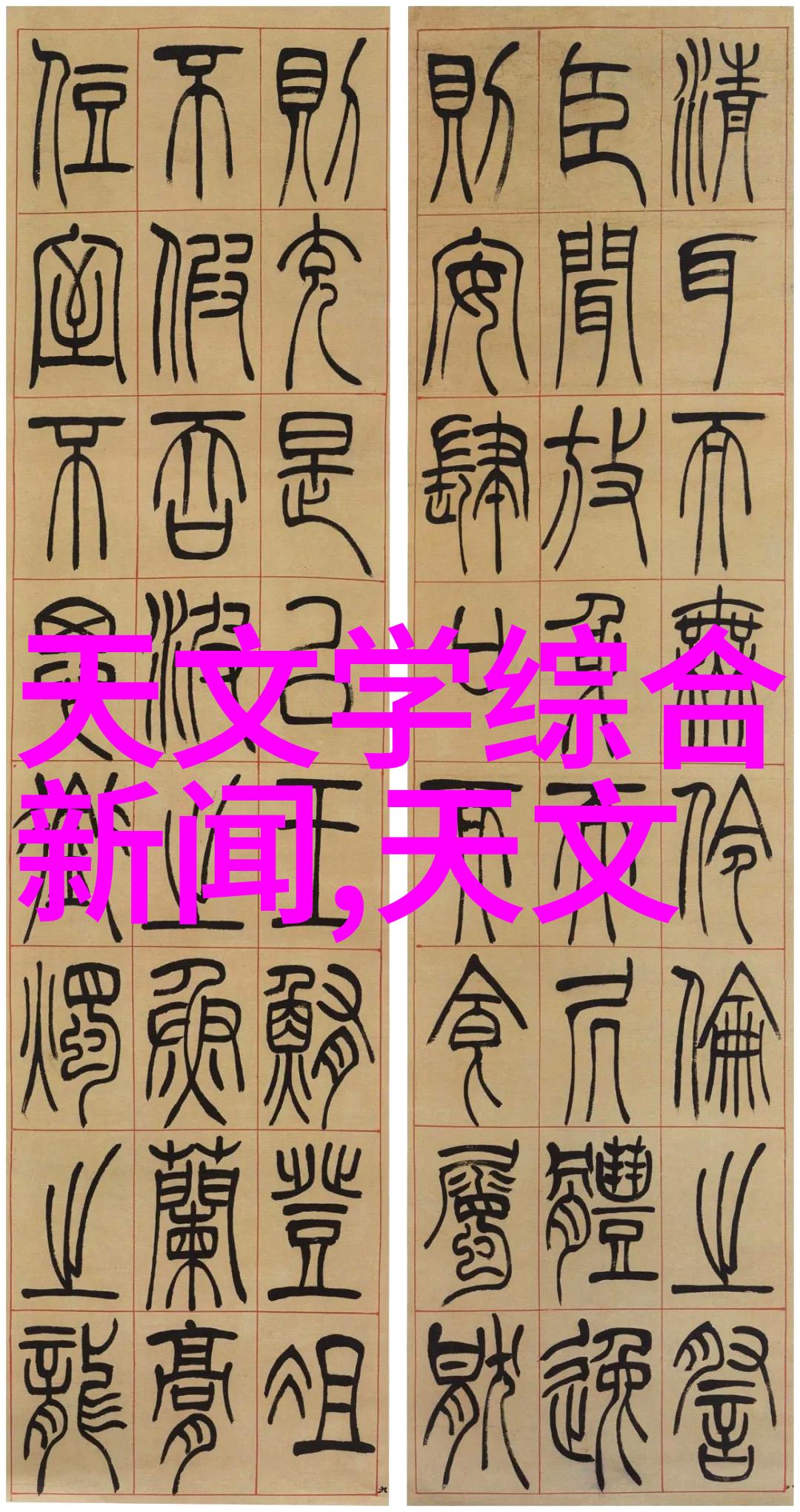 微压三缸煎药包装机适用于炮灸制作场景精准控制物品处理