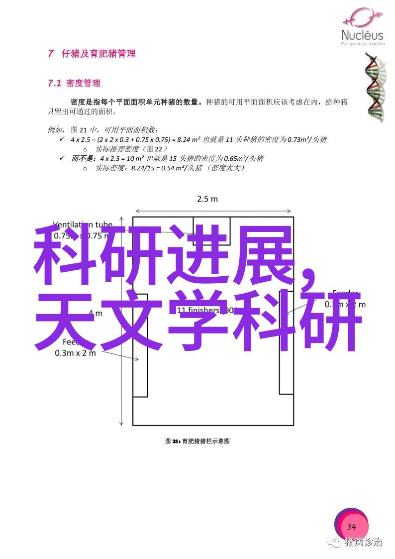 从黑到白揭秘征信报告背后的逆袭故事