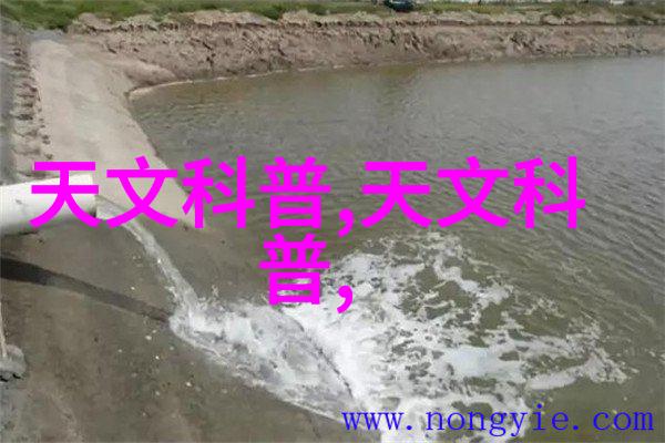 油水分离器内部结构图解析揭秘净化技术的关键组成