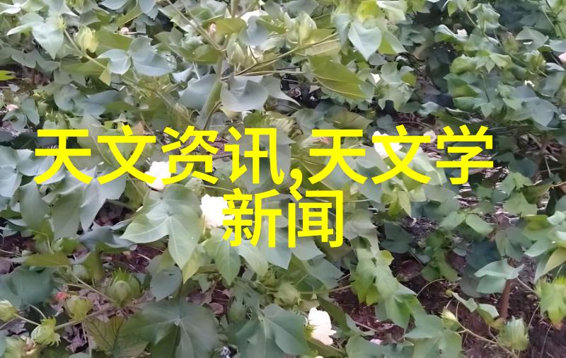 正常TDS值对植物生长环境影响分析