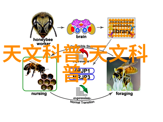 镜头下的乡愁记录和表达中国乡土情怀