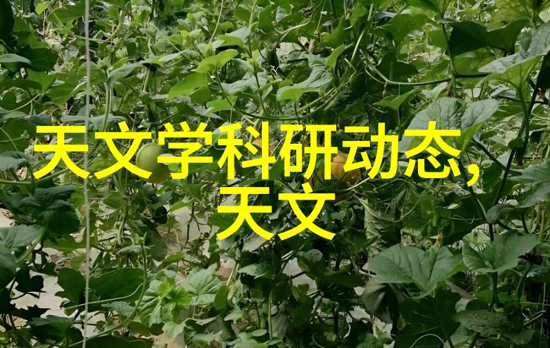 全自动灭菌器无人看管的清洁守护者