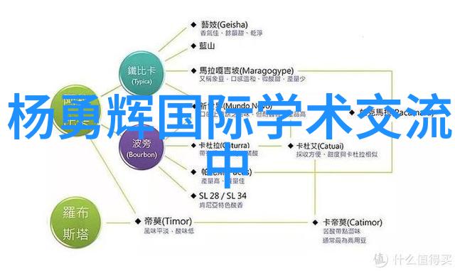 西南财经政法大学-金融法律与经济管理西南财经政法大学的学术探索