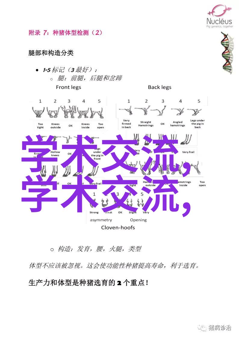 摄影作品万能点评捕捉瞬间诠释艺术