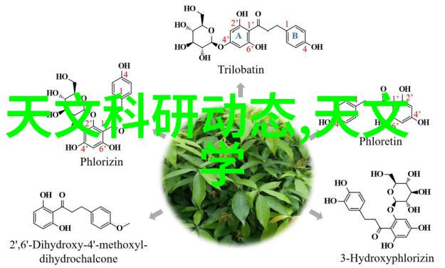 我来告诉你净化器的魔法它是怎么工作的以及你应该怎样使用它