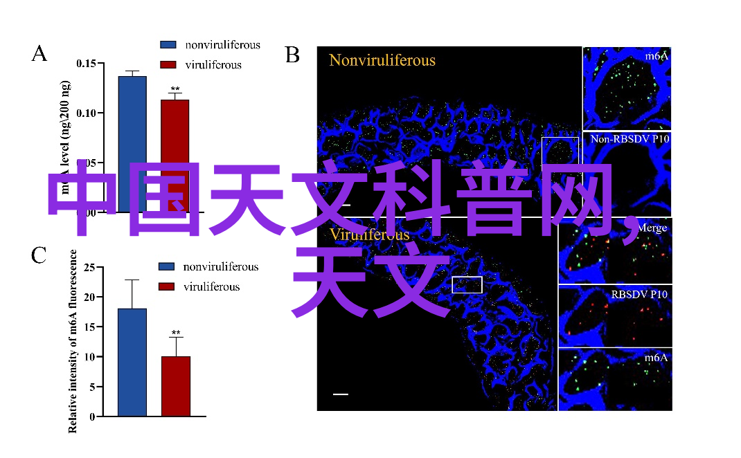 掌握光影摄像的基本知识和技巧