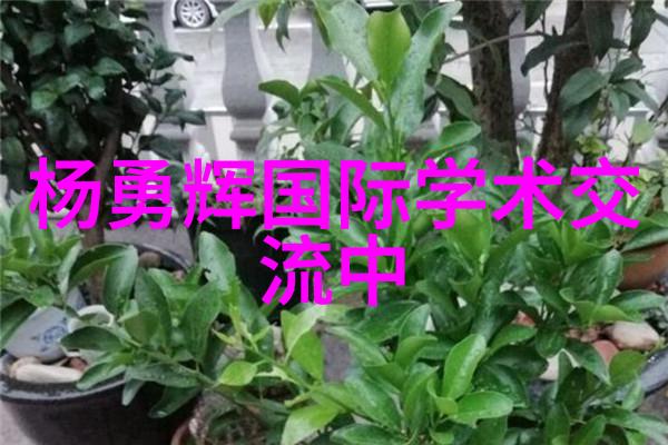 二手泥石分离机出售老板急卖了价格可谈