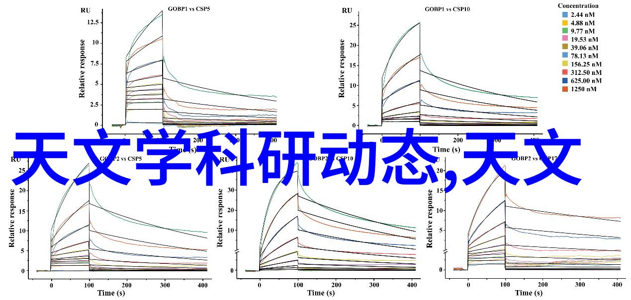 园林美学与空间利用探索庭院装修设计的艺术与实践