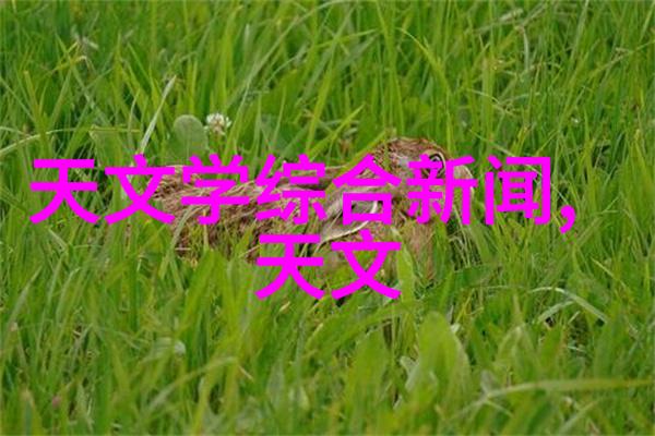 陈译辉财经研究室揭秘上市公司隐形冠军