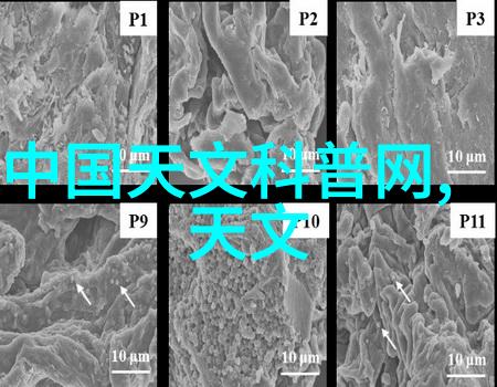 全友似有口风方太油烟机价格难以捉摸而选购技巧则需亲如己出的智慧