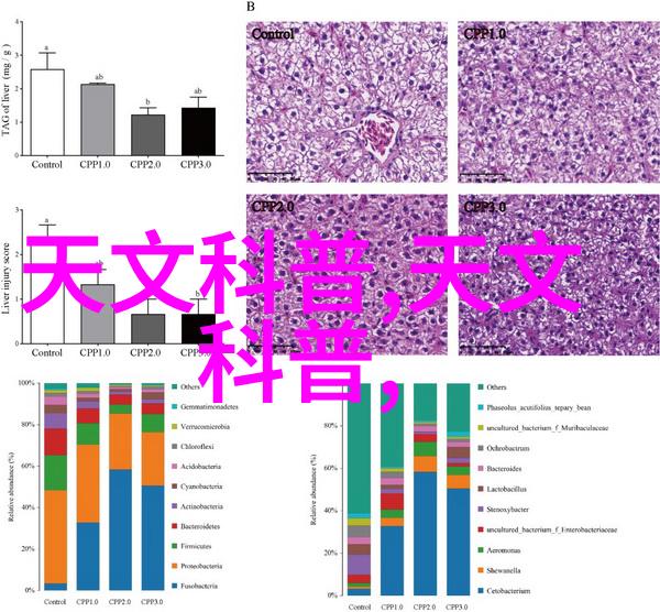 摄影技巧 - 揭秘拍摄艺术多种拍摄技巧让照片更生动