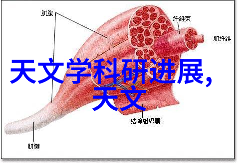 网路保驾护航构建安全可靠的数字世界