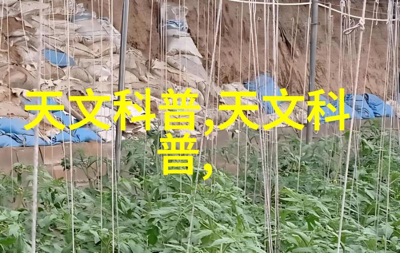 家居美化指南先行安装基础设施后续添加装饰元素