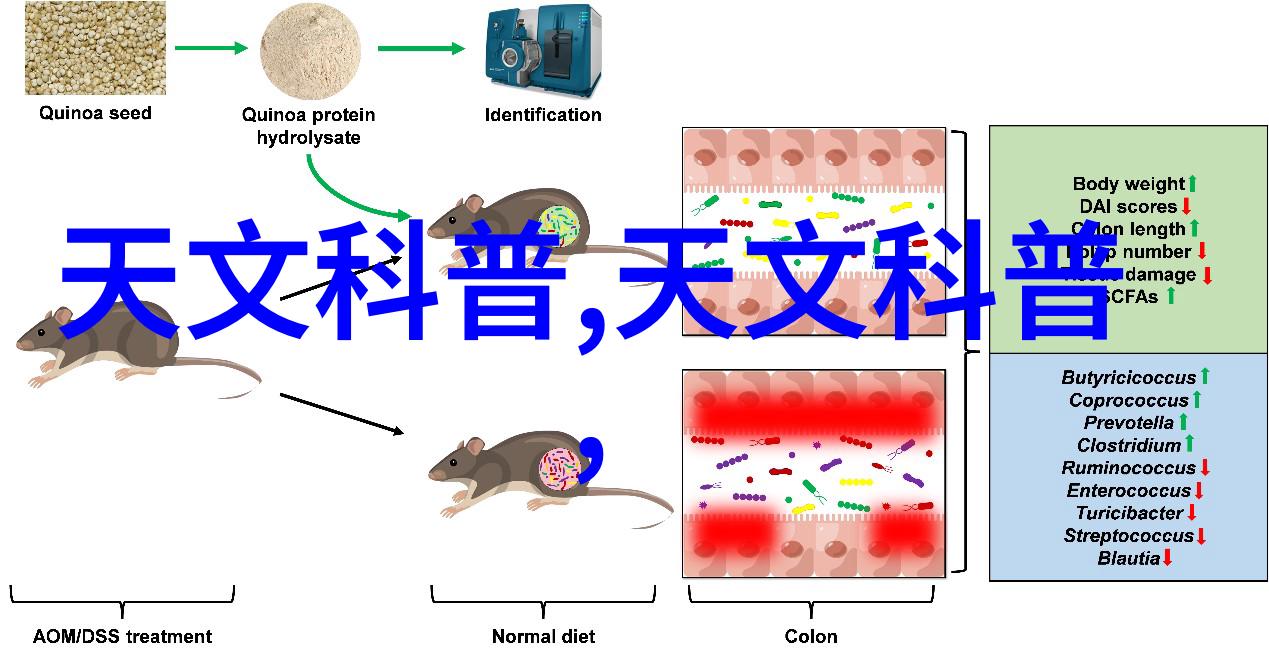 探索人文艺术课拍背后的文化智慧37个独特视角