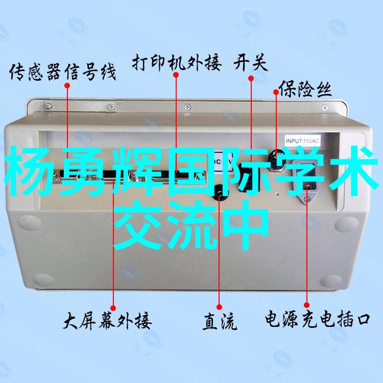 WTS-2B水箱自洁消毒器生产厂家