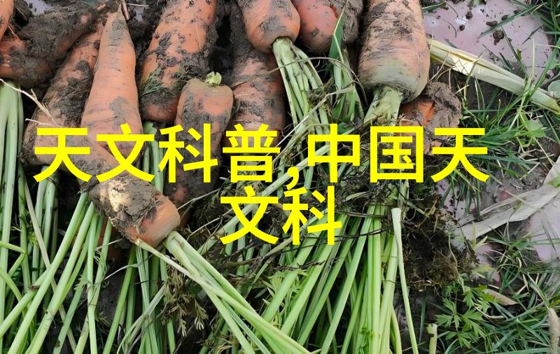 高压蒸汽灭菌器参数优化数据驱动的灭菌解决方案