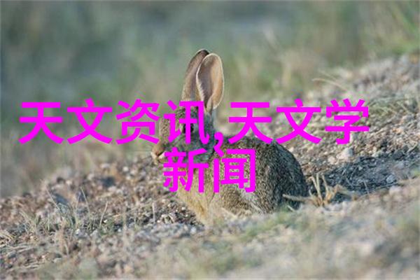 从镜头中见证人良土兀摄影展