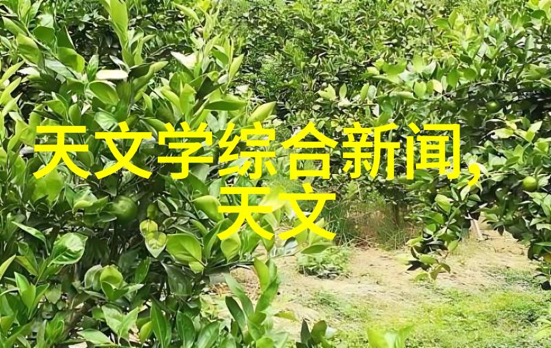 炼油技术的革新与石化设备的进步