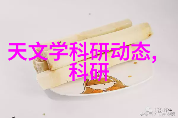 电子设备存储器高性能的数据安全箱