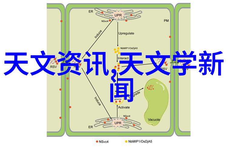 让小鸭圣吉奥成为你孩子们的童话启蒙