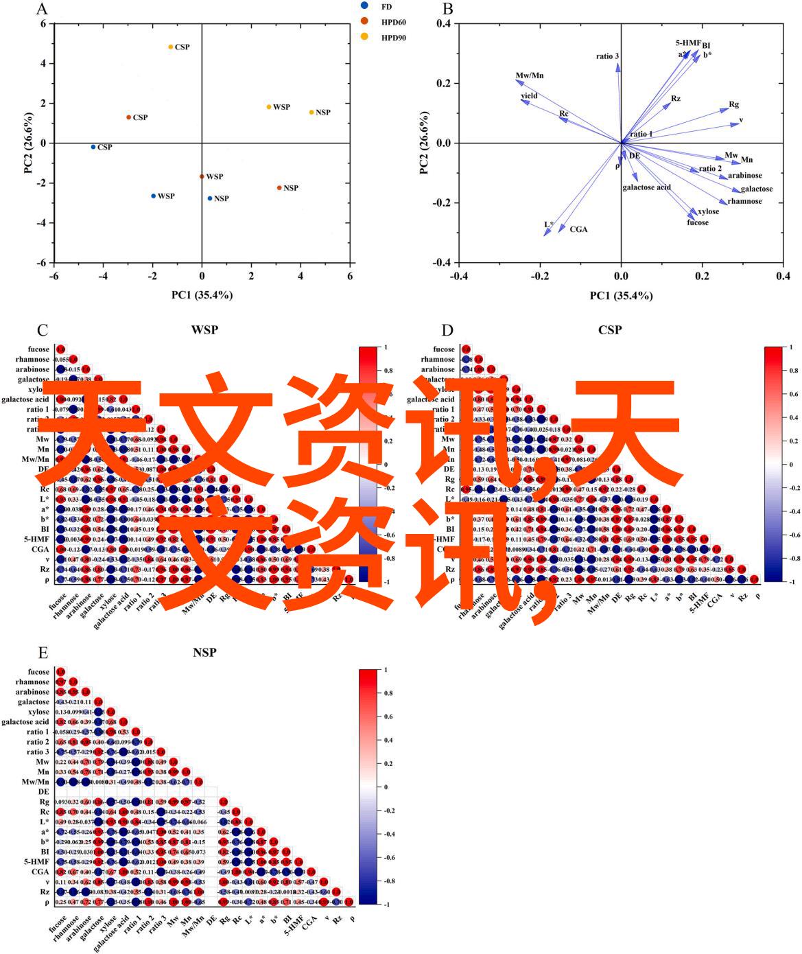 中国科大团队揭示自控力的社会认知机制