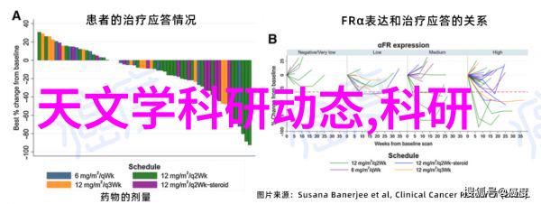 交通基础设施-沥青路面城市的生命线与污染源